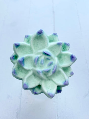 Succulent Bath Bomb